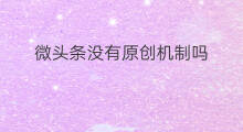 微头条没有原创机制吗 微头条推荐机制改了吗