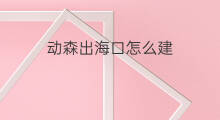 动森出海口怎么建 动森为何社交