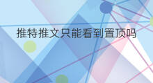 推特推文只能看到置顶吗 推特推文别人能看见吗