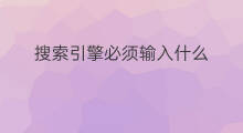 搜索引擎必须输入什么 毒霸搜索引擎网址怎么输入