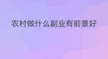 农村做什么副业有前景好 北方农村做什么副业好