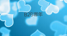 B2B哪年 b2b有哪