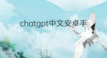 chatgpt中文安卓手机版在哪里下 chatgpt中文安卓版