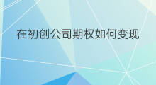 在初创公司期权如何变现 公司上市之后期权怎么变现