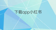 下载app小红书 小红书tv版app下载