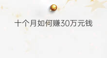十个月如何赚30万元钱 十个月如何赚30万元