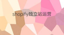 shopify独立站运营是什么 shopify独立站具体是什么