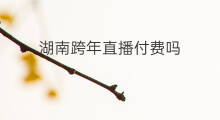 湖南跨年直播付费吗 湖南什么是知识付费