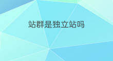 站群是独立站吗 站群与独立站群的区别