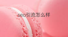 seo引流怎么样 seo上司怎么样