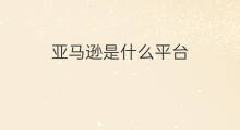 亚马逊是什么平台 亚马逊lazada是什么平台