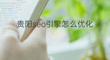贵阳seo引擎怎么优化 贵阳专业seo优化