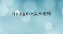 chatgpt正版长啥样 chatgpt正版长什么样