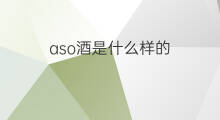aso酒是什么样的 谷歌是什么样