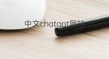 中文chatgpt网站(chatgpt中文网站)