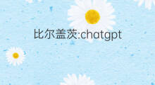 比尔盖茨:chatgpt将改变世界 比尔盖茨chatgpt将改变世界
