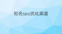 知名seo优化渠道 SEO优化知名专家