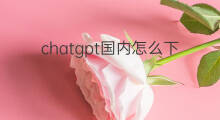 chatgpt国内怎么下载(国内怎么下载chatgpt)
