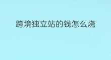 跨境独立站的钱怎么烧 跨境独立站的优化