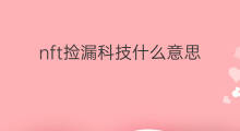 nft捡漏科技什么意思 直通车捡漏包什么意思