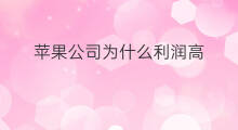 苹果公司为什么利润高 为什么苹果利润那么高