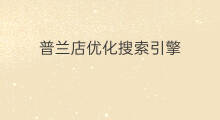普兰店优化搜索引擎 普兰店关键词搜索引擎优化