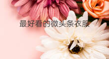 最好看的微头条衣服 shopee好看的衣服