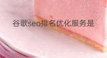 谷歌seo排名优化服务是什么 谷歌seo排名优化服务
