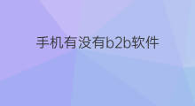 手机有没有b2b软件 b2b有没有中文