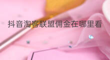 抖音淘客联盟佣金在哪里看 淘客联盟怎么拿佣金