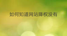 如何知道网站降权没有 如何知道网站是否降权