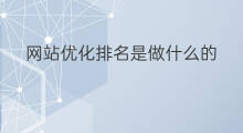 网站优化排名是做什么的 网站的优化排名
