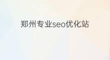 郑州专业seo优化站 郑州专业seo优化