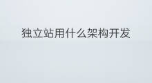 独立站用什么架构开发 大型独立站用什么开发