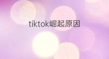 tiktok崛起原因 知识付费崛起的原因