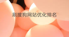 刷搜狗网站优化排名 刷网站优化排名