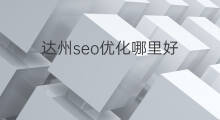 达州seo优化哪里好 达州seo优化代理