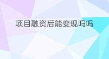 项目融资后能变现吗吗 投资项目如何融资