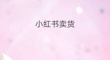 小红书卖货 小红书怎么卖货品