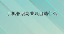 手机兼职副业项目选什么 网上副业项目选哪家