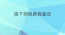 线下羽绒真假鉴定 google真假鉴定