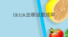 tiktok去哪设置成年 快手怎么设置成浏览