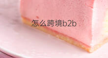 怎么跨境b2b b2b怎么采购
