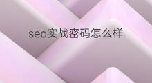 seo实战密码怎么样 怎么样查看快手密码