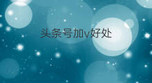 头条号加v好处 头条号怎么加v