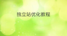 独立站优化教程 fiverr独立站优化