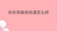 京东采销岗待遇怎么样 京东福利待遇怎么样