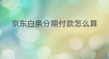 京东白条分期付款怎么算 京东白条分期付款怎么弄