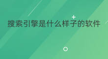 搜索引擎是什么样子的软件 搜索引擎是什么样子的啊