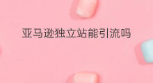 亚马逊独立站能引流吗 亚马逊独立站引流吗